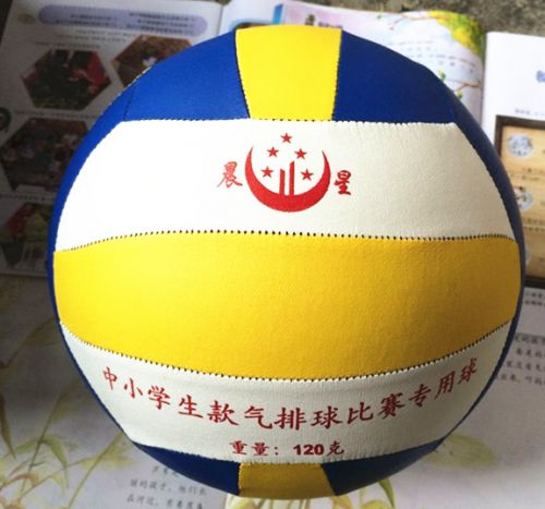 Ballon de volley-ball - Ref 2008797