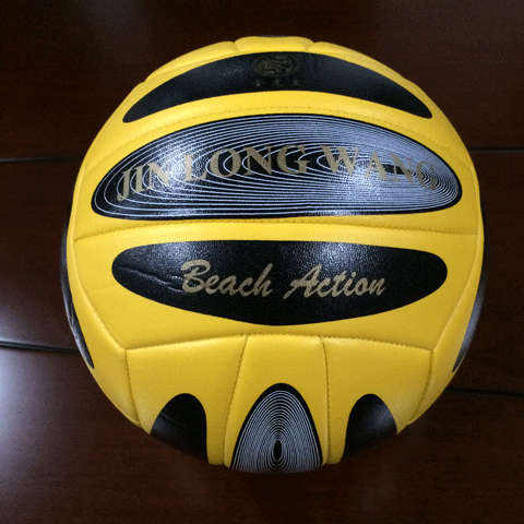 Ballon de volley-ball - Ref 2008806
