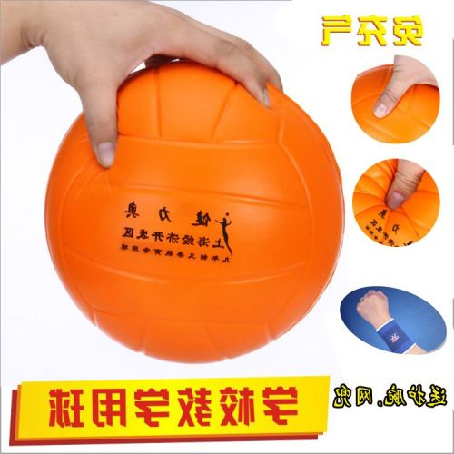 Ballon de volley-ball - Ref 2008813