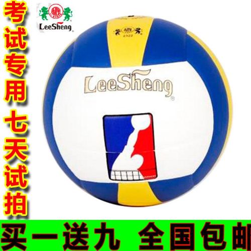 Ballon de volley-ball - Ref 2008824