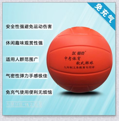 Ballon de volley-ball - Ref 2008895