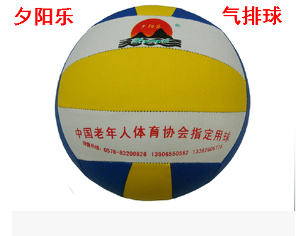 Ballon de volley-ball - Ref 2009016