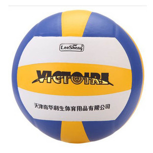 Ballon de volley-ball - Ref 2009036