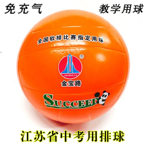 Ballon de volley-ball - Ref 2009040