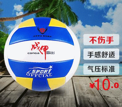 Ballon de volley-ball - Ref 2009041
