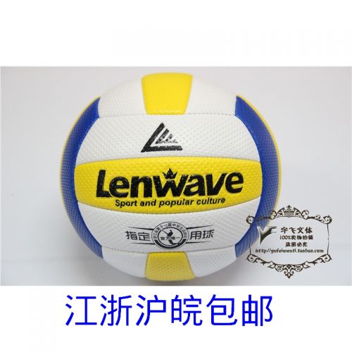 Ballon de volley-ball - Ref 2009048