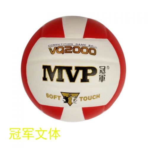 Ballon de volley-ball - Ref 2009052