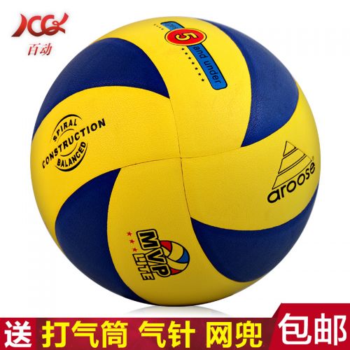 Ballon de volley-ball - Ref 2009068