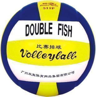 Ballon de volley-ball DOUBLE FISH - Ref 2009072