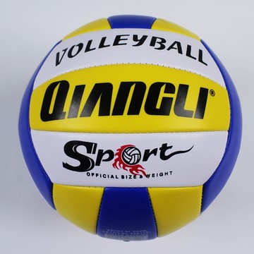 Ballon de volley-ball - Ref 2009074