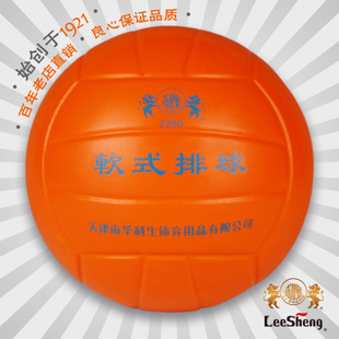 Ballon de volley-ball - Ref 2009079