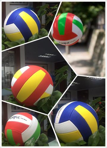 Ballon de volley-ball - Ref 2009094
