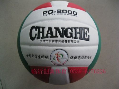 Ballon de volley-ball - Ref 2009130
