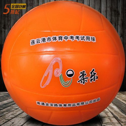 Ballon de volley-ball - Ref 2009135