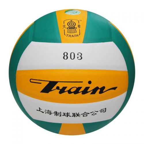 Ballon de volley-ball - Ref 2009144