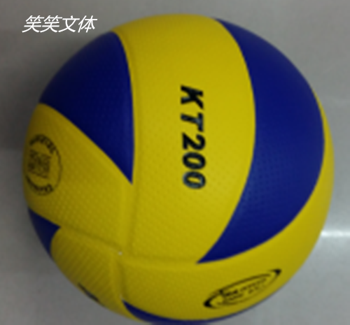 Ballon de volley-ball - Ref 2009169