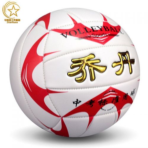 Ballon de volley-ball - Ref 2009251