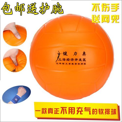Ballon de volley-ball - Ref 2009252