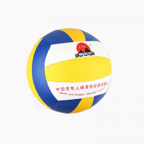 Ballon de volley-ball - Ref 2009273