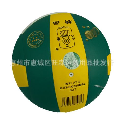 Ballon de volley-ball - Ref 2009289