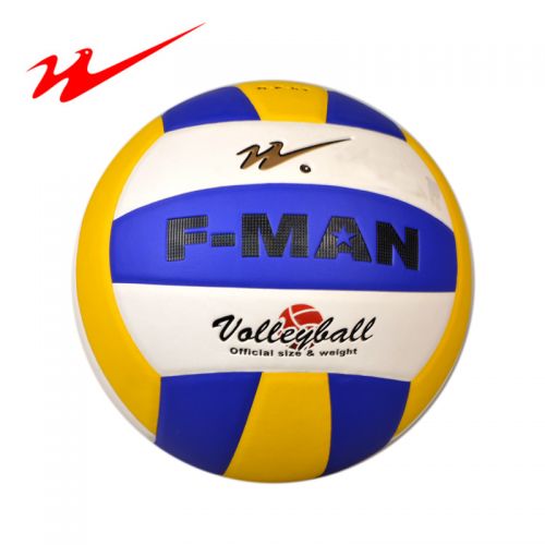 Ballon de volley-ball DOUBLE STAR - Ref 2009290