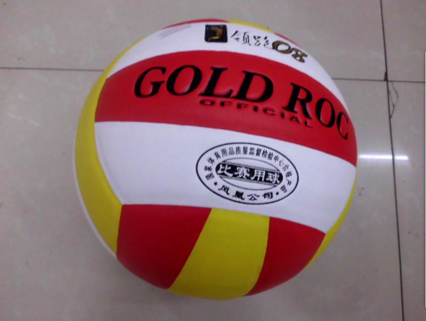 Ballon de volley-ball - Ref 2009312
