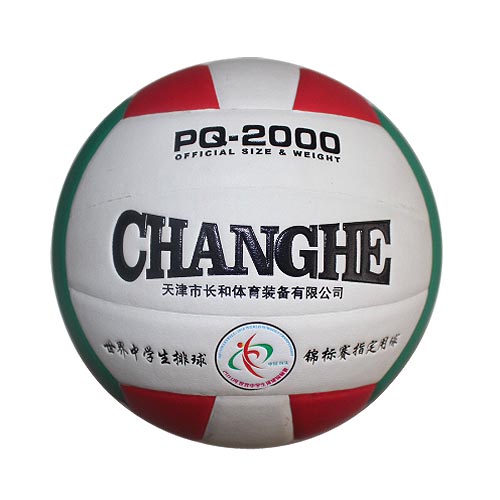 Ballon de volley-ball - Ref 2009313