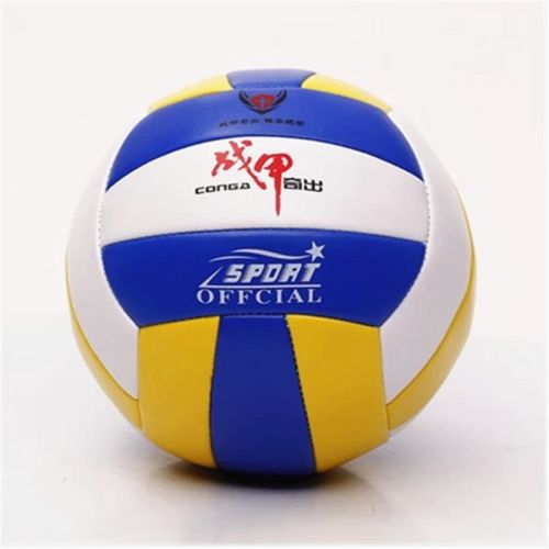 Ballon de volley-ball - Ref 2009335