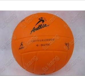 Ballon de volley-ball - Ref 2009344