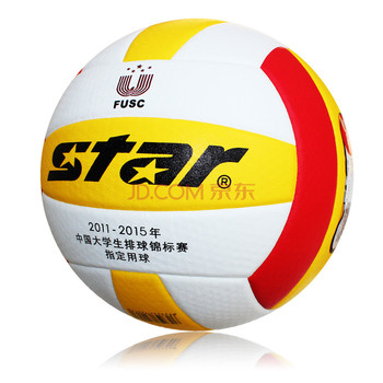 Ballon de volley-ball STAR - Ref 2009357