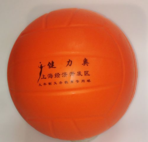 Ballon de volley-ball - Ref 2009383