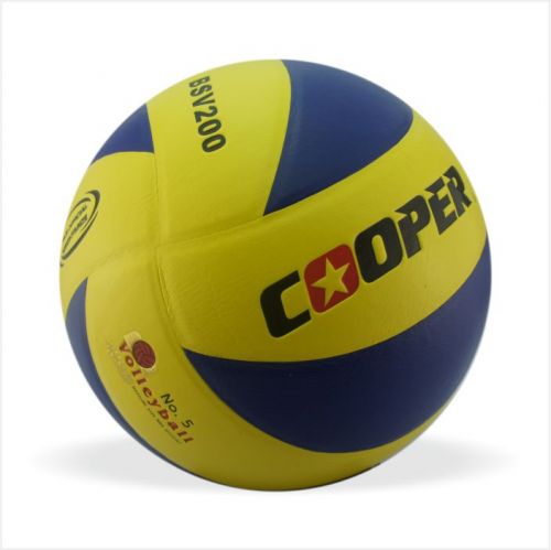 Ballon de volley ball 2009511