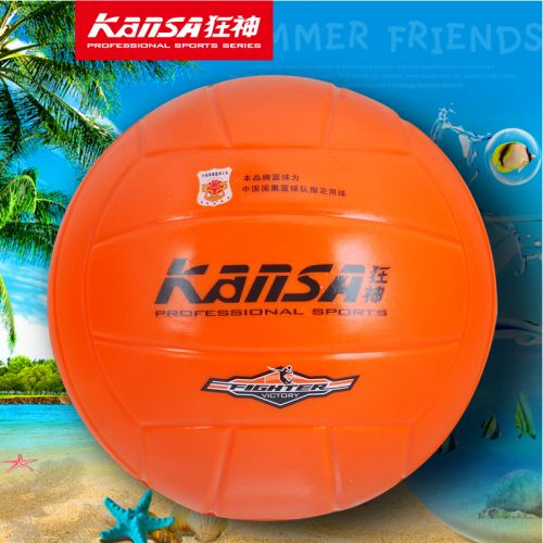 Ballon de volley-ball - Ref 2009530
