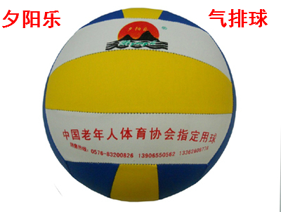 Ballon de volley-ball - Ref 2009539