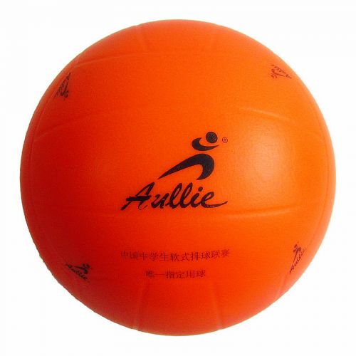 Ballon de volley-ball - Ref 2009595