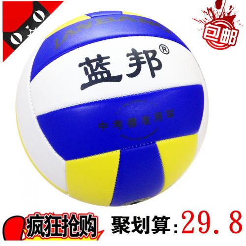 Ballon de volley-ball - Ref 2009621