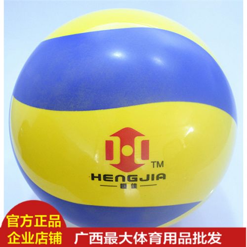 Ballon de volley-ball - Ref 2009632