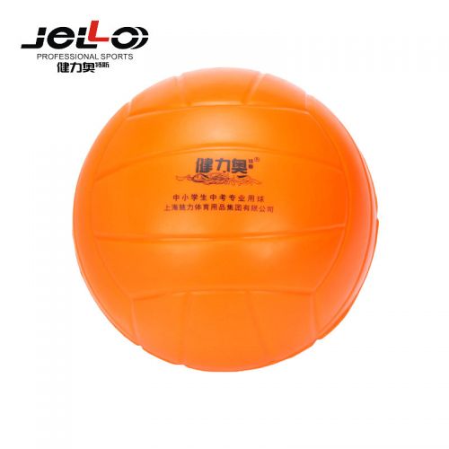 Ballon de volley-ball - Ref 2009645