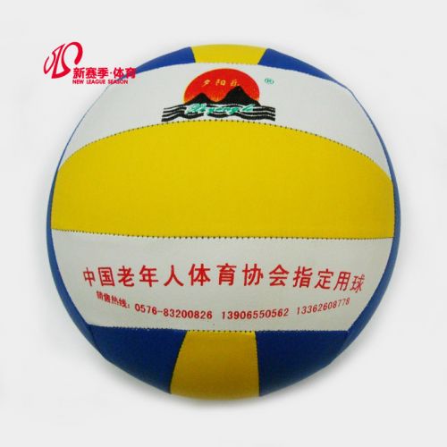 Ballon de volley-ball - Ref 2009647