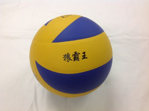 Ballon de volley-ball - Ref 2009665