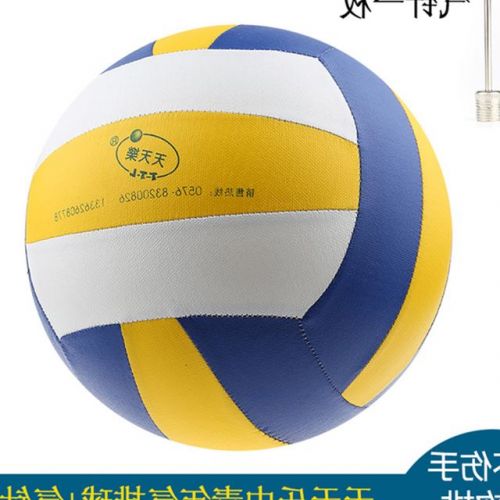 Ballon de volley-ball - Ref 2009701