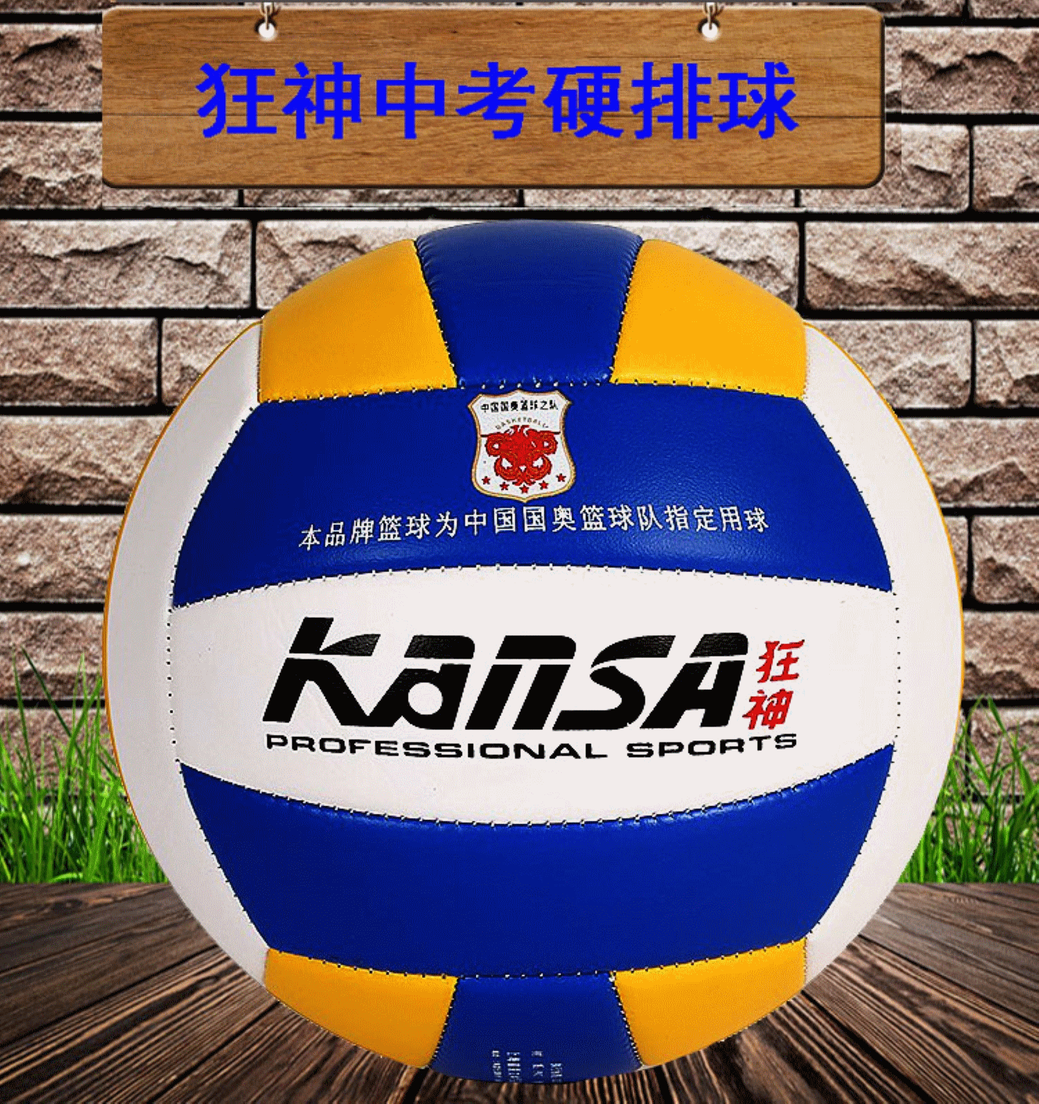 Ballon de volley-ball - Ref 2009705