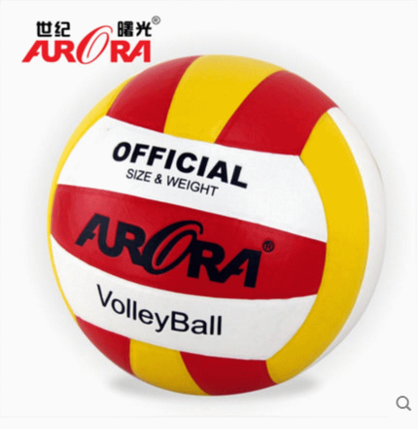 Ballon de volley-ball - Ref 2009714