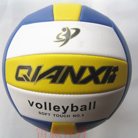 Ballon de volley-ball - Ref 2009724