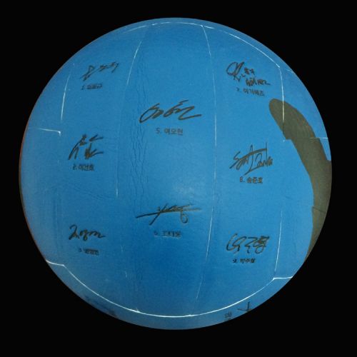 Ballon de volley-ball - Ref 2009747