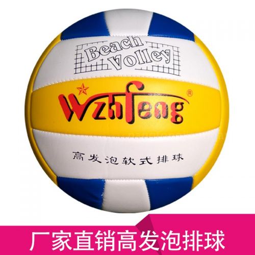 Ballon de volley-ball - Ref 2009752