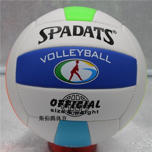 Ballon de volley-ball - Ref 2009804