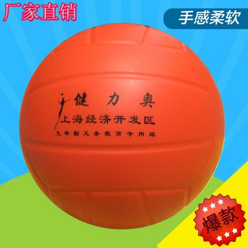 Ballon de volley-ball - Ref 2009831