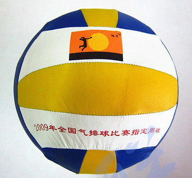 Ballon de volley-ball - Ref 2009871