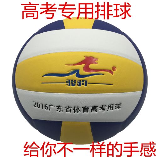 Ballon de volley-ball 000001J - Ref 2009900